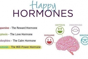 HAPPY HORMONES - HẠNH PHÚC CHO NHÂN VIÊN